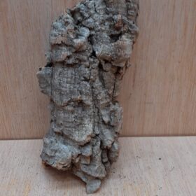 Small Cork Flat 2