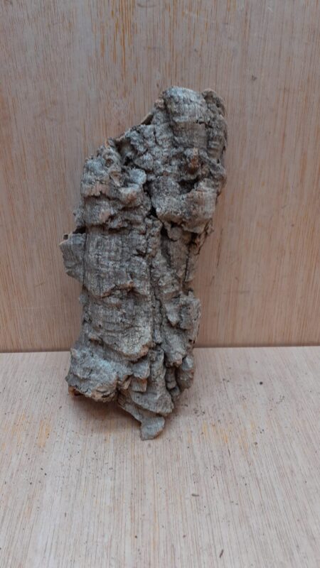 Small Cork Flat 2