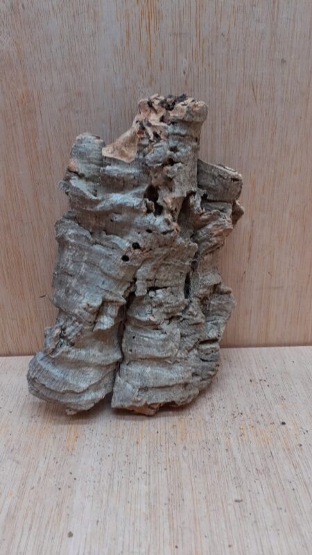 Small Cork Flat 24