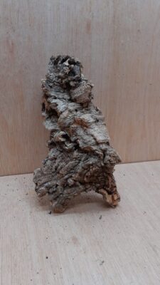 Medium Cork Flat 7