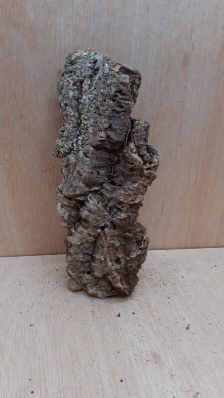 Medium Cork Flat 10
