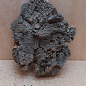 Medium Cork Flat 13
