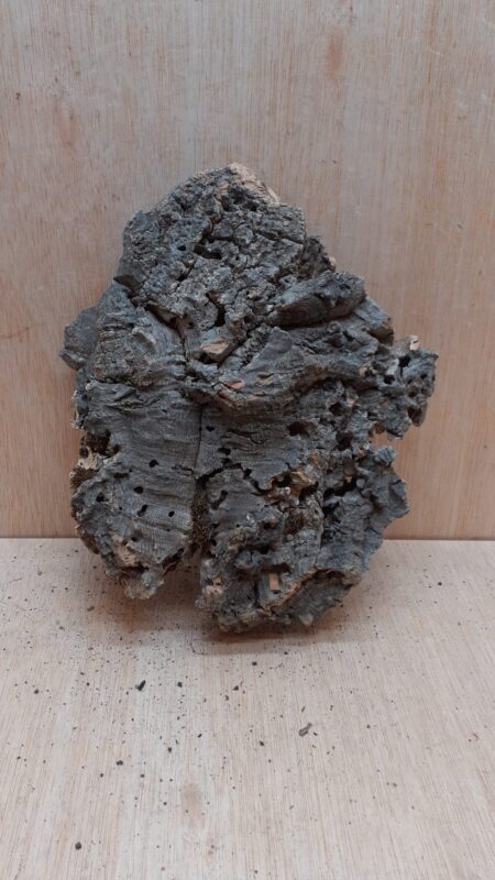 Medium Cork Flat 13