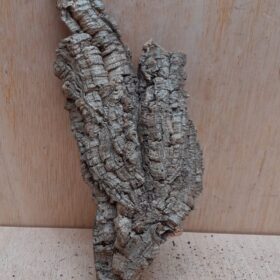 Medium Cork Flat 15