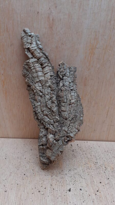 Medium Cork Flat 15