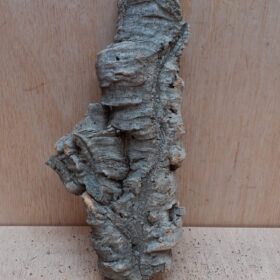 Medium Cork Flat 16