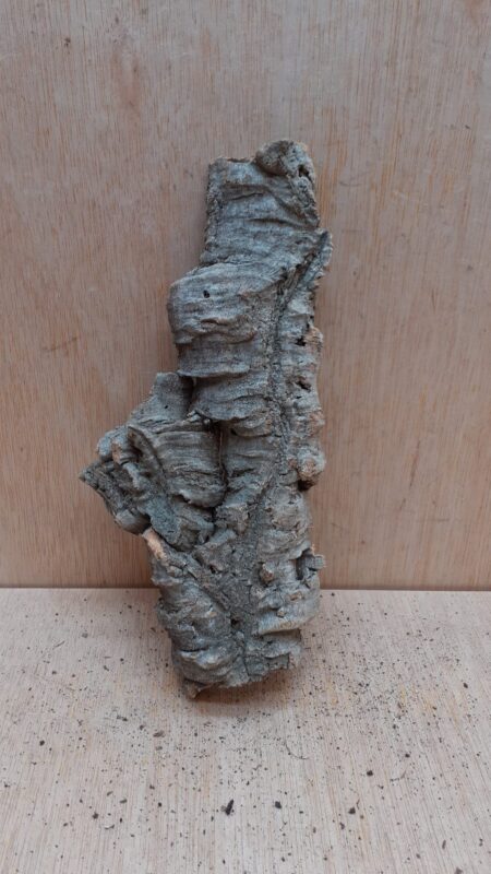 Medium Cork Flat 16