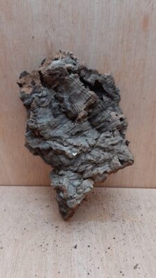 Medium Cork Flat 19