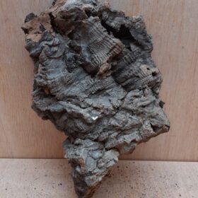 Medium Cork Flat 19