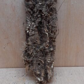 Medium Cork Flat 23