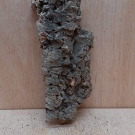 Medium Cork Flat 27