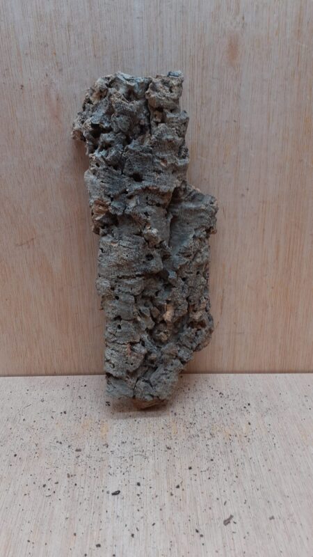 Medium Cork Flat 27