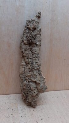 Large Cork Flat 1