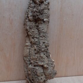 Large Cork Flat 1