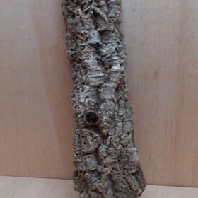 Large Cork Flat 4