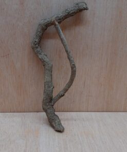 Small Cork Branch - Upto 40cm - 3