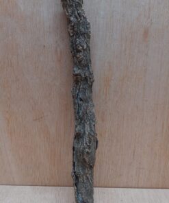 Small Cork Branch - Upto 40cm - 4