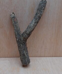 Small Cork Branch - Upto 40cm - 6