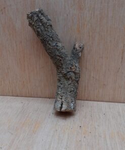 Small Cork Branch - Upto 40cm - 8