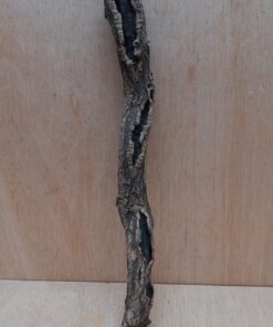 Small Cork Branch - Upto 40cm - 12