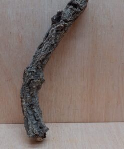 Small Cork Branch - Upto 40cm - 13