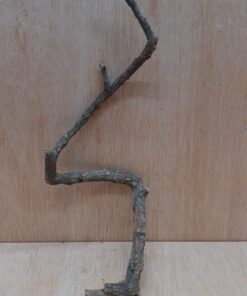 Small Cork Branch - Upto 40cm - 14