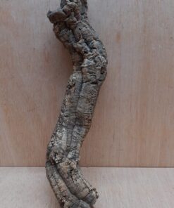 Small Cork Branch - Upto 40cm - 15
