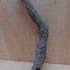 Small Cork Branch - Upto 40cm - 16