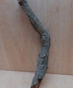 Small Cork Branch - Upto 40cm - 16