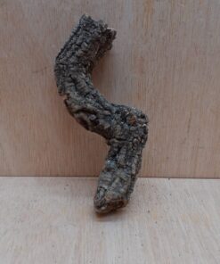 Small Cork Branch - Upto 40cm - 19