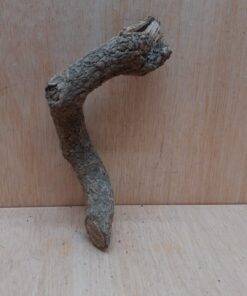 Small Cork Branch - Upto 40cm - 20
