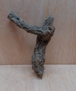 Small Cork Branch - Upto 40cm - 21