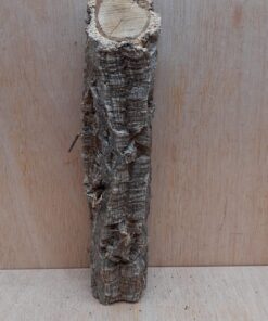 Small Cork Branch - Upto 40cm - 22