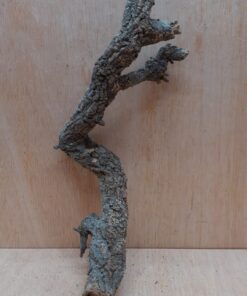 Small Cork Branch - Upto 40cm - 23