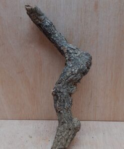 Small Cork Branch - Upto 40cm - 25