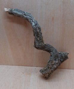 Small Cork Branch - Upto 40cm - 26