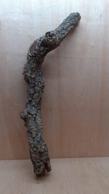 Medium Cork Branch - 40-80cm - 6