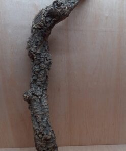 Medium Cork Branch - 40-80cm - 6