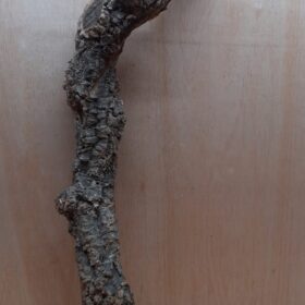 Medium Cork Branch - 40-80cm - 6