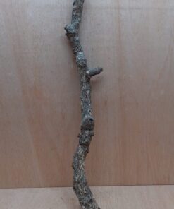 Medium Cork Branch - 40-80cm - 14