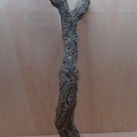 Medium Cork Branch - 40-80cm - 19