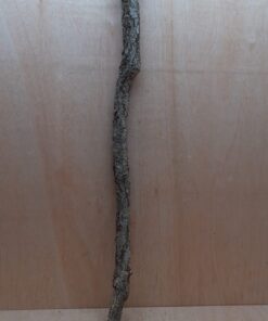 Large Cork Branch - 80-110cm - 7