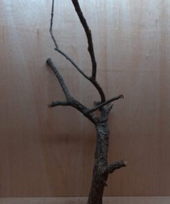 Large Cork Branch - 80-110cm - 8