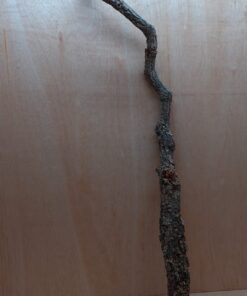 Large Cork Branch - 80-110cm - 13