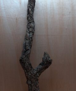 Large Cork Branch - 80-110cm - 14