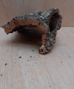 Small Cork Hide 8