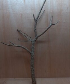 Large Cork Branch - 80-110cm - 16