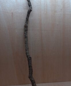 Large Cork Branch - 80-110cm - 17
