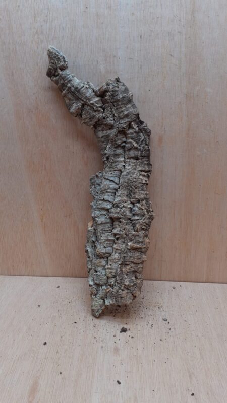 Large Cork Flat 7