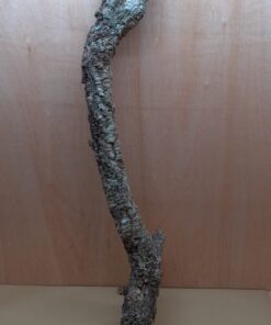 Large Cork Branch - 80-110cm - 2